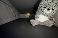 Najem avtodoma Volkswagen California T7 Beach Tour 2.0 TDI - DSG
